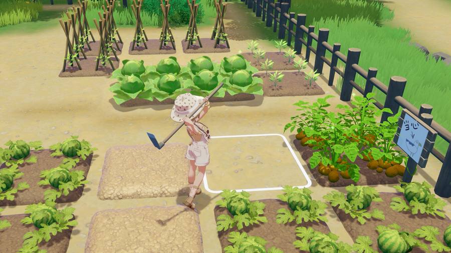 Tending a fenced vegetable plot next to the homestead in Starsand Island